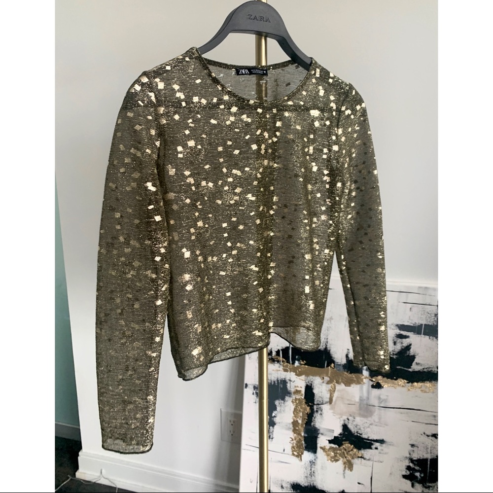 Zara sheer tshirt/top